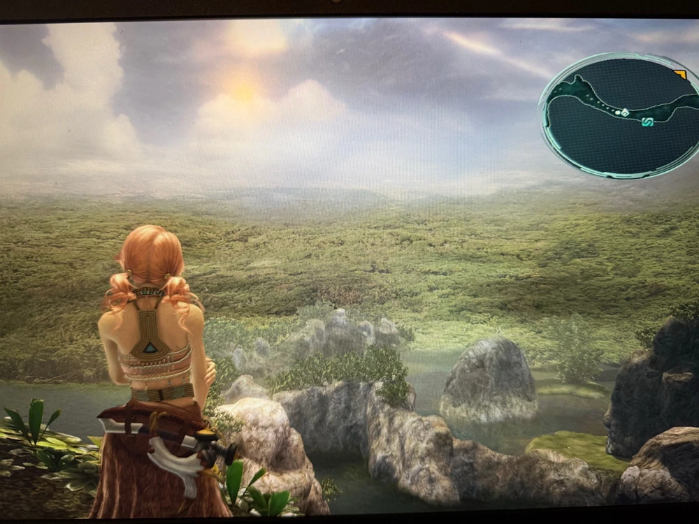 Image uploaded by Andrew