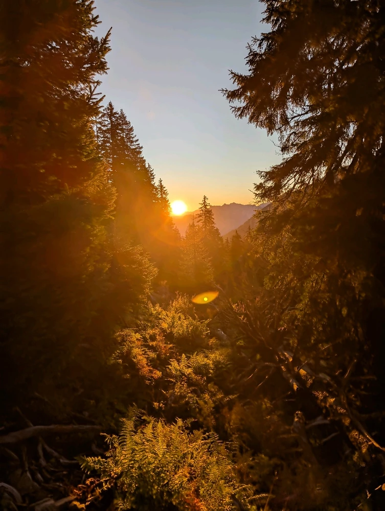 Bild hochgeladen von Flavio