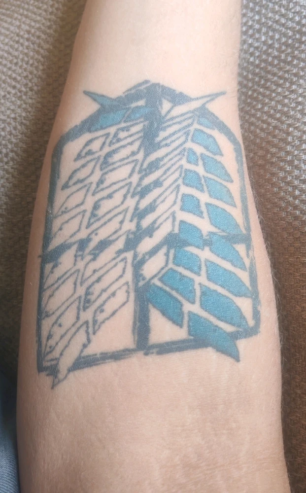 Kristóf által feltöltött GIF