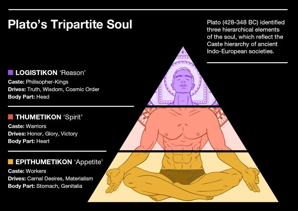 The Soul in Plotinus Philosophy