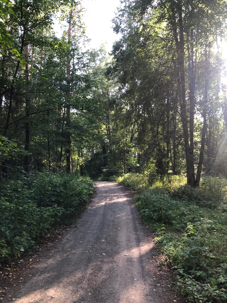 Фото загрузил Lia