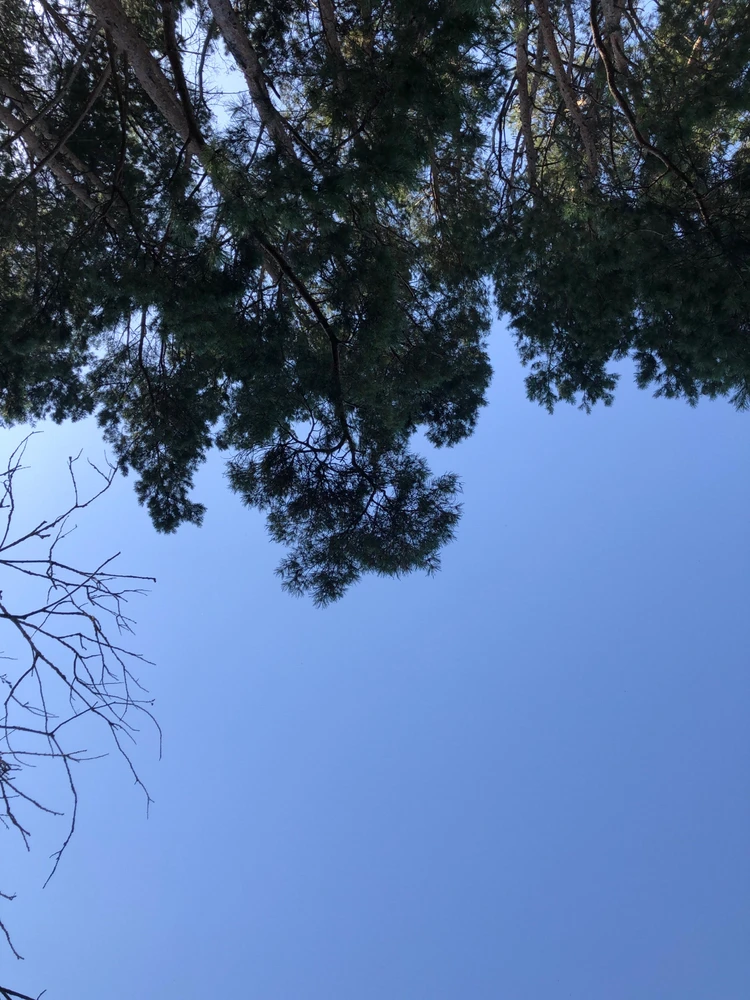 Фото загрузил Lia