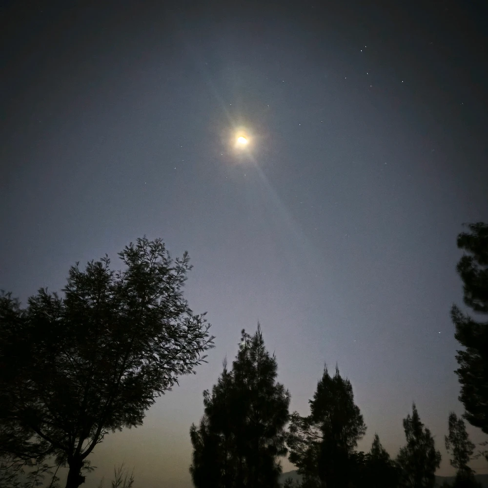 Gambar diunggah oleh Fitho