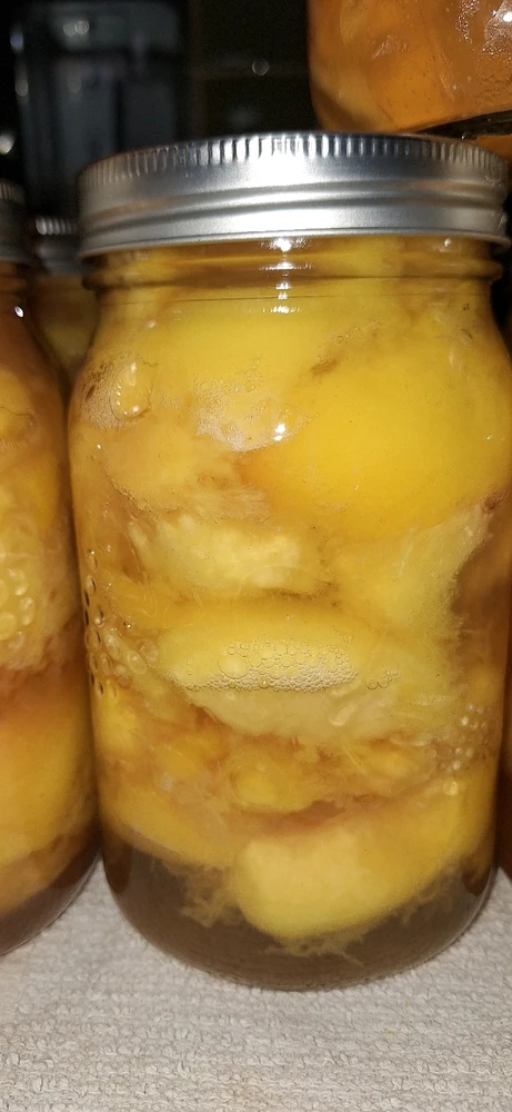 Image uploaded by Chris