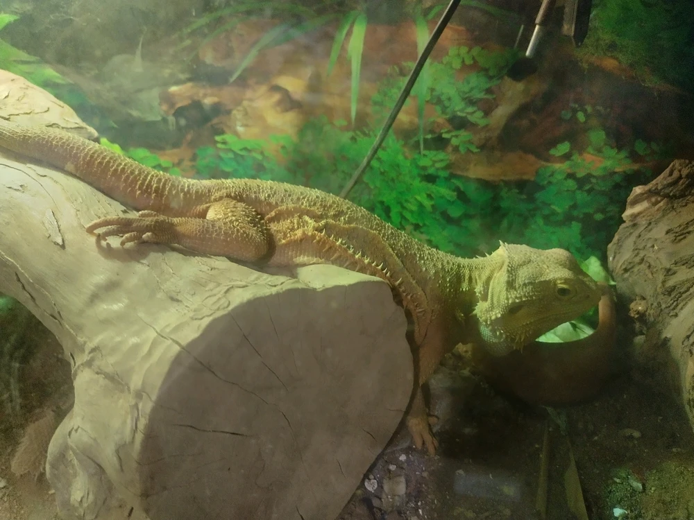 Image uploaded by Hayden