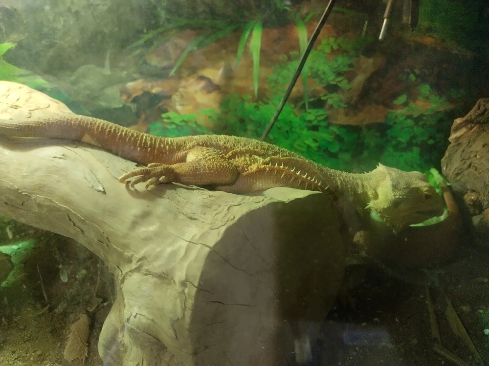 Image uploaded by Hayden