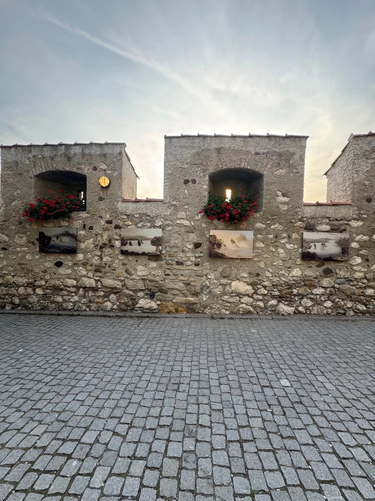 Bild hochgeladen von Roxx