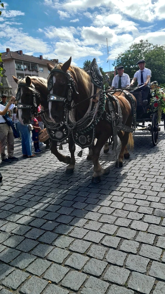 Bild hochgeladen von Sarah