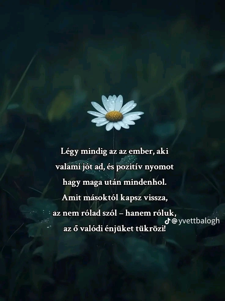 Shankara által feltöltött GIF