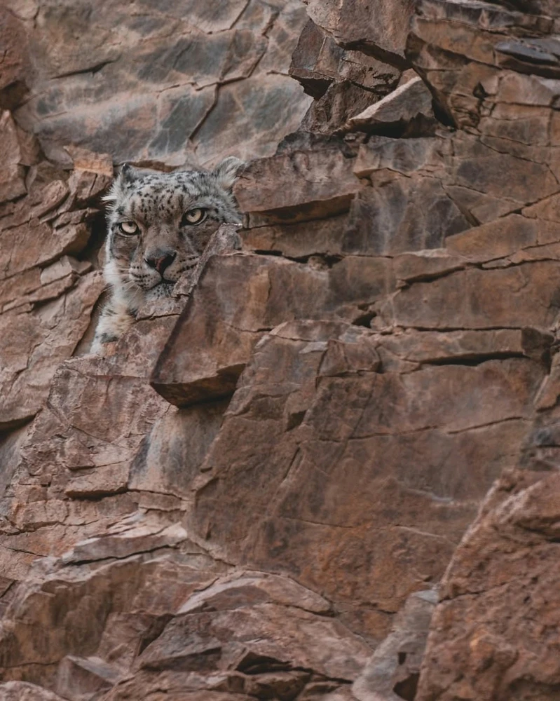 GIF uploaded by Elle