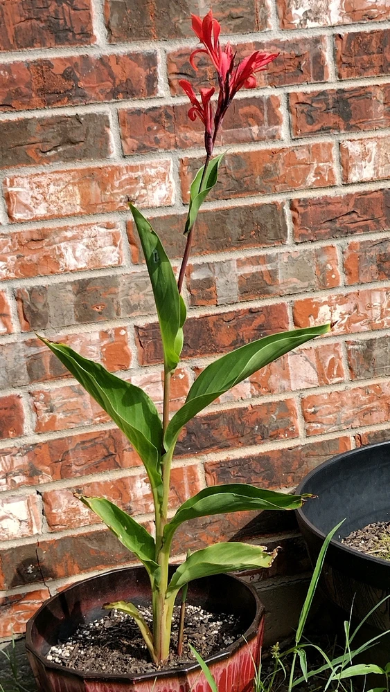 Image uploaded by Silent🖤Screamer