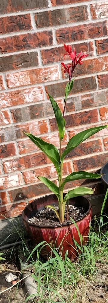 Image uploaded by Silent🖤Screamer