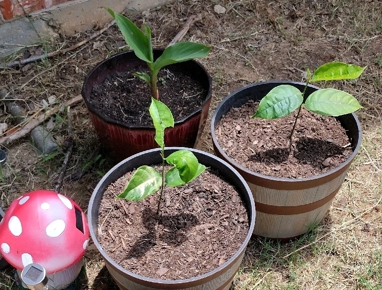 Image uploaded by Silent🖤Screamer