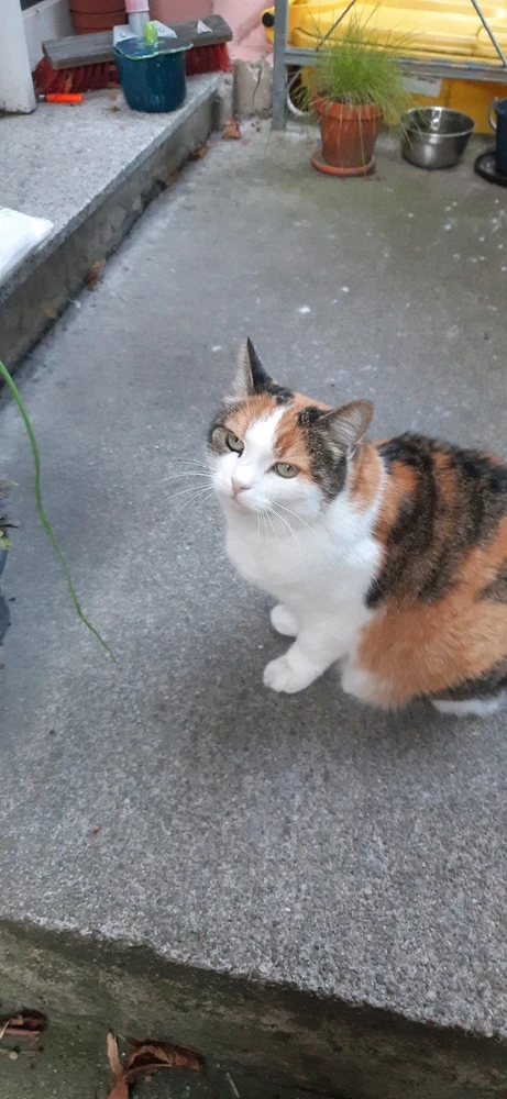 GIF hochgeladen von Ray