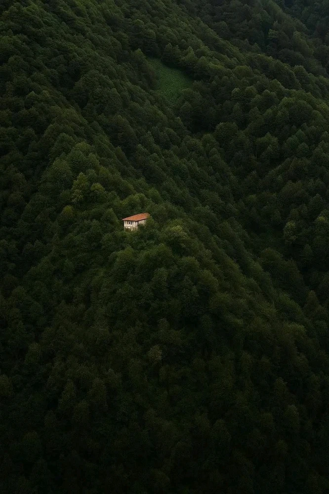 GIF uaslódáilte ag Ali asghar