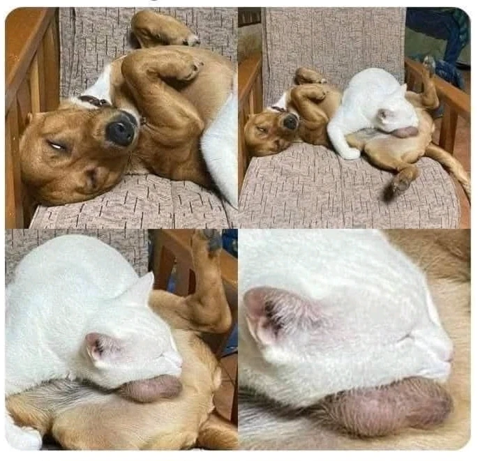 GIF hochgeladen von Doris