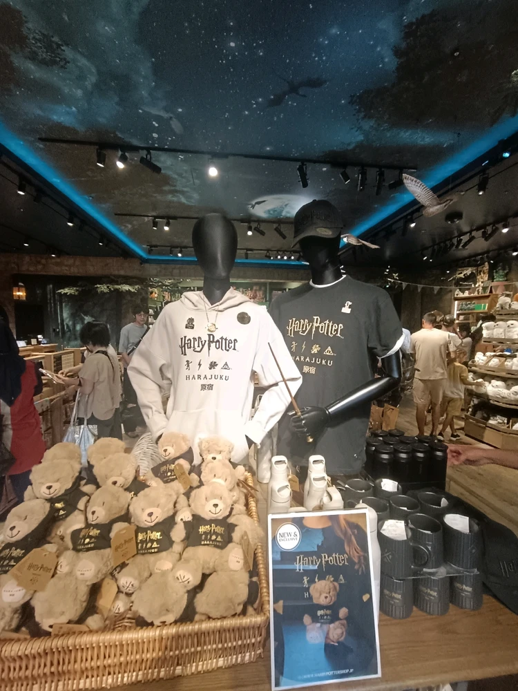 Harry Potter Harajuku