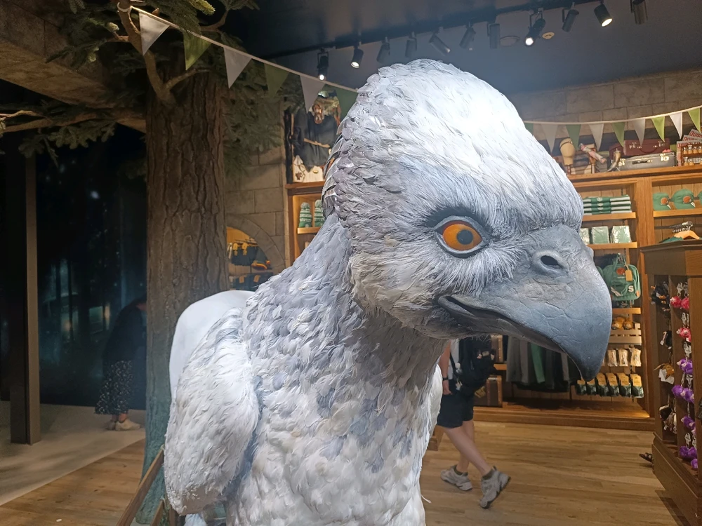 Harry Potter Harajuku