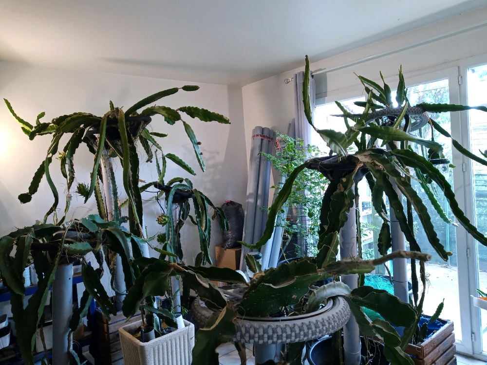 Image ajoutée par Cédric