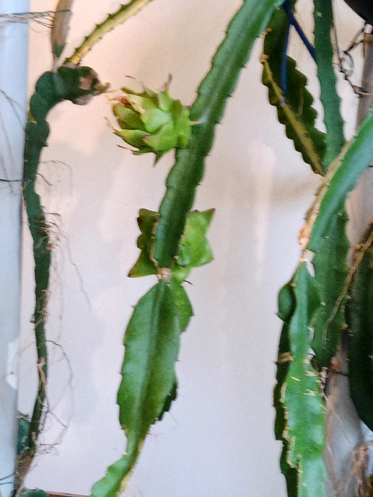 Image ajoutée par Cédric