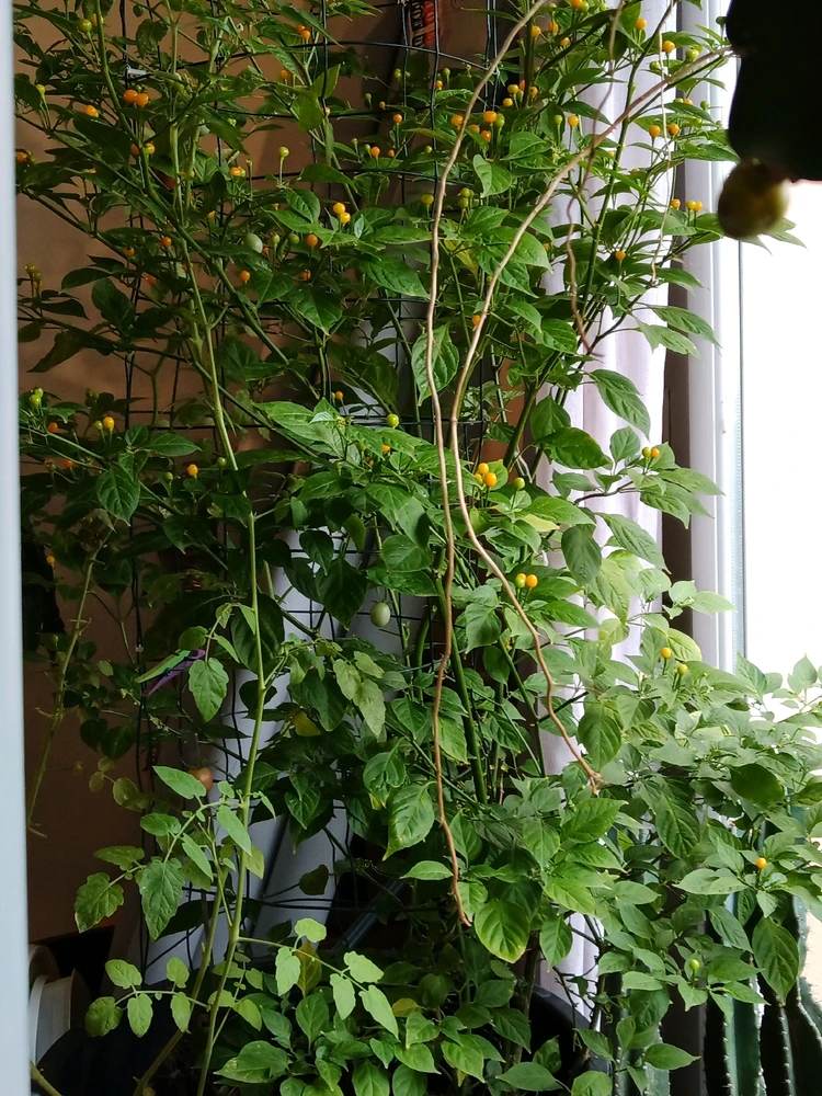 Image ajoutée par Cédric