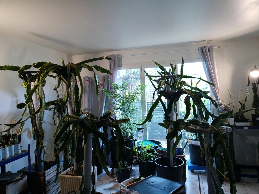 Image ajoutée par Cédric