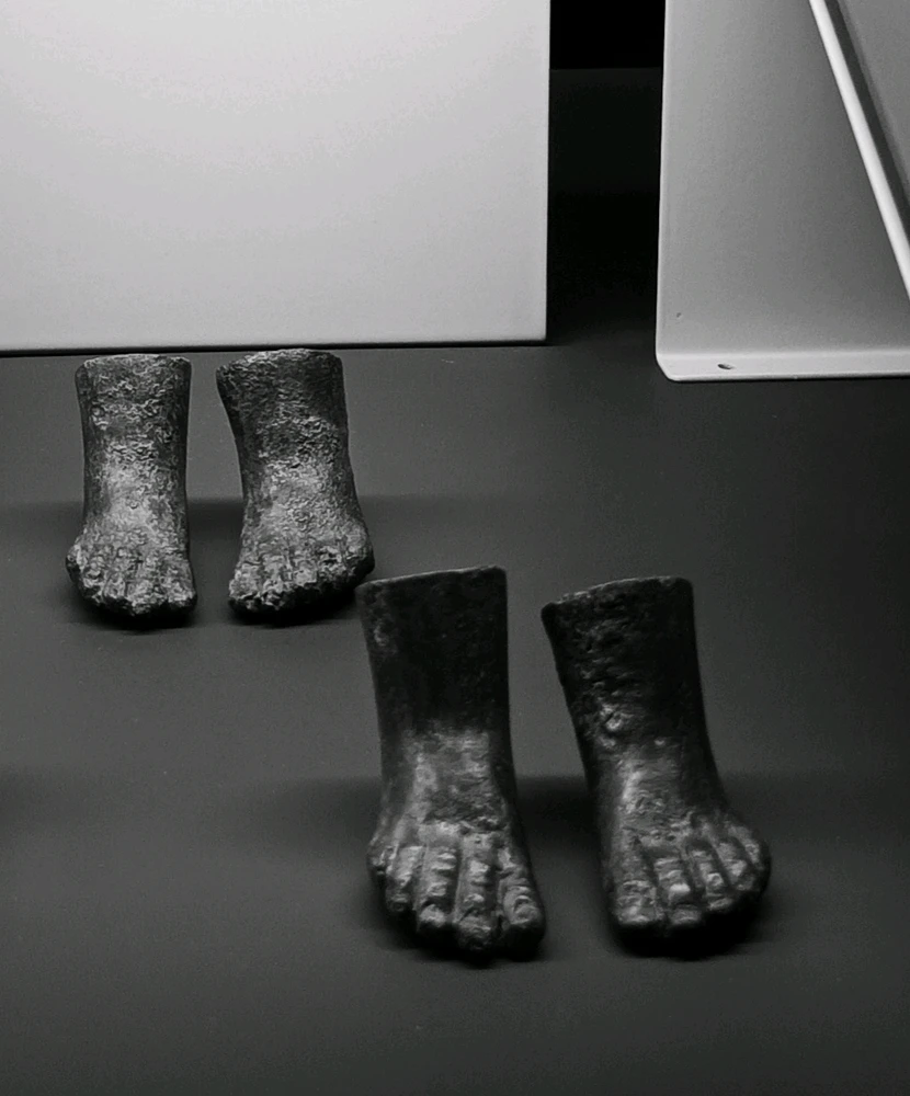 Immagine caricata da Giulio