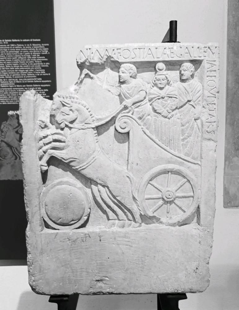 Immagine caricata da Giulio