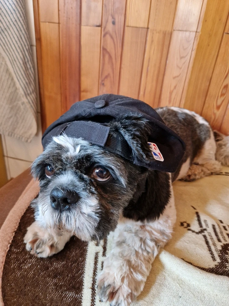 GIF naložil Kevinjan