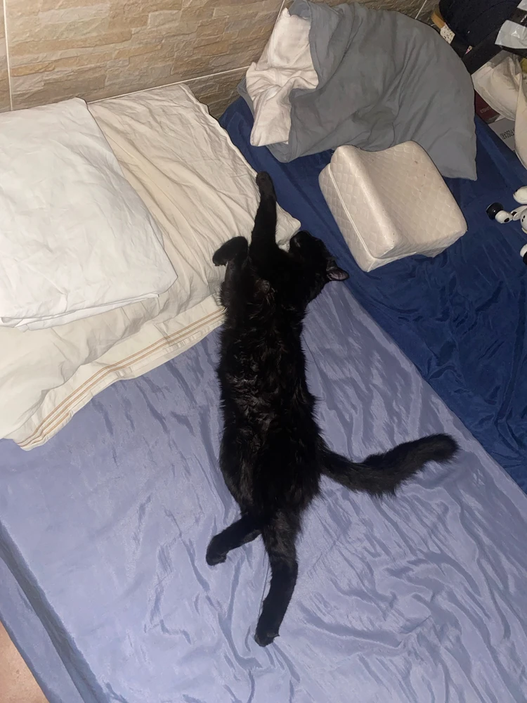 GIF caricata da Erick