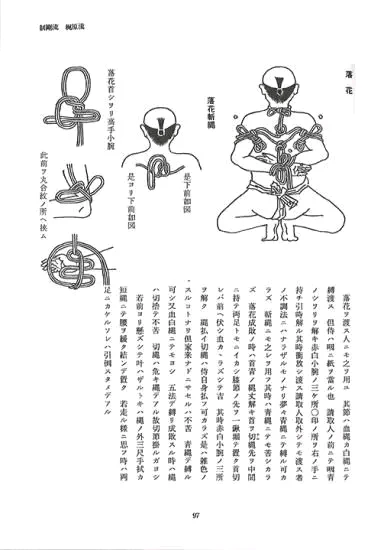 Image ajoutée par Stef