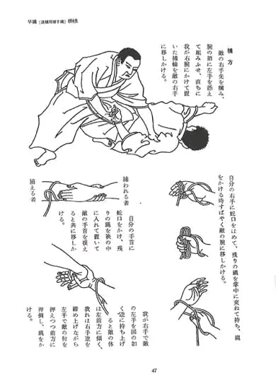 Image ajoutée par Stef