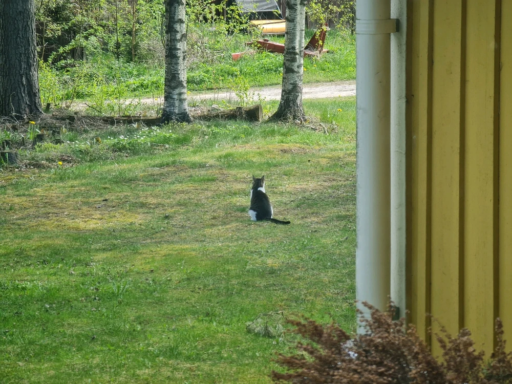 Lauriがアップロードした画像