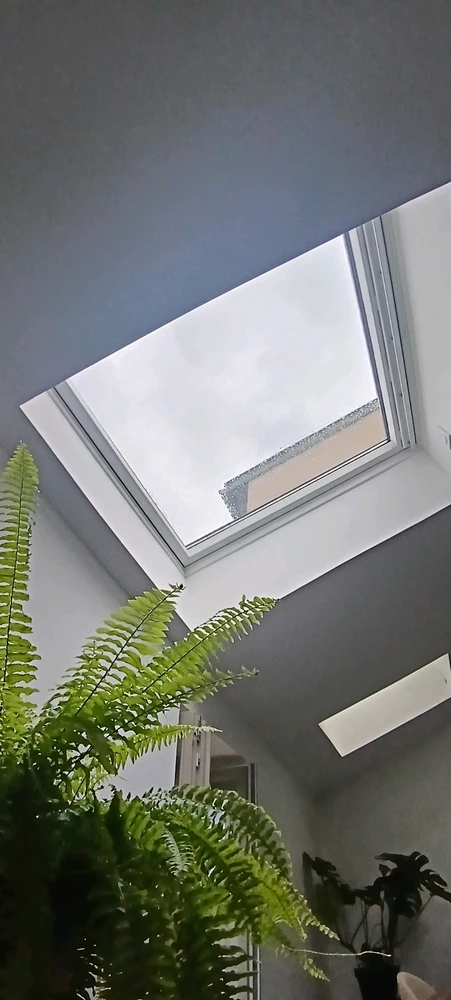 Image ajoutée par Saffiya