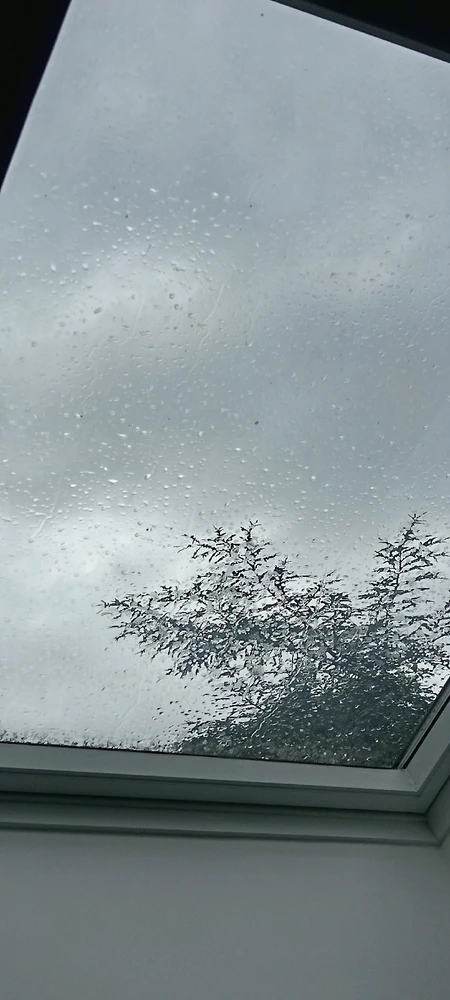 Image ajoutée par Saffiya