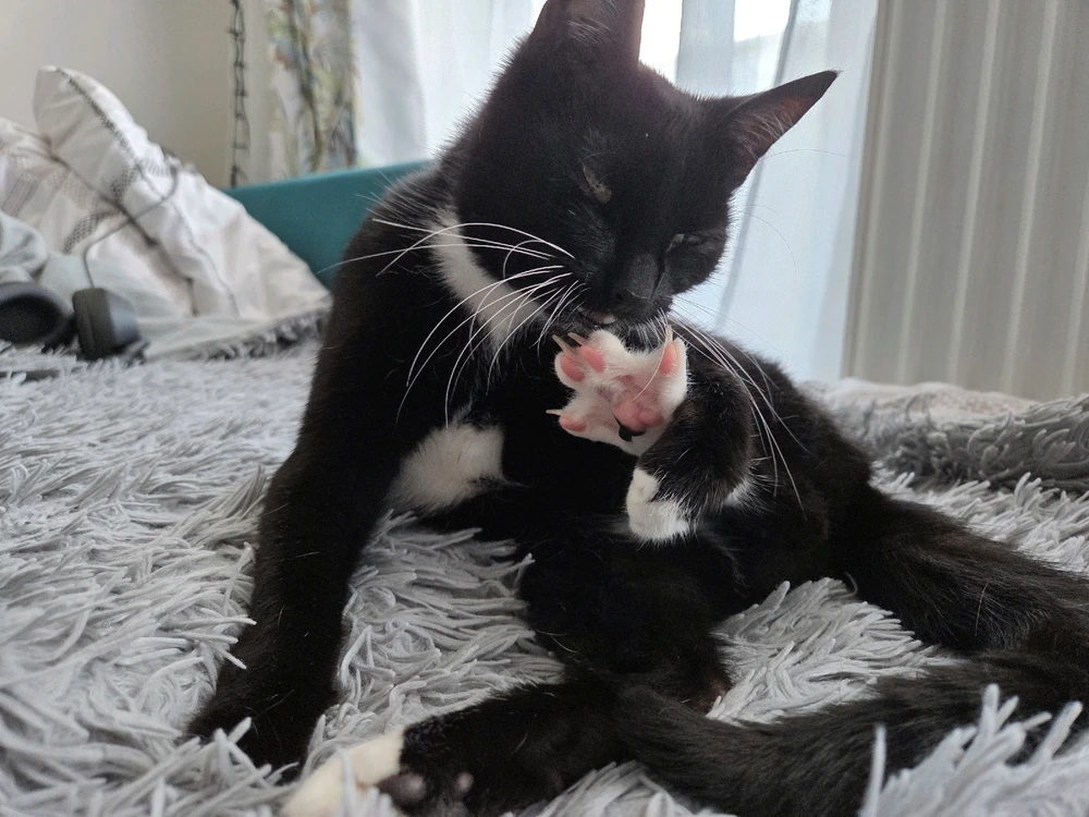 GIF uploaded by Miłosz