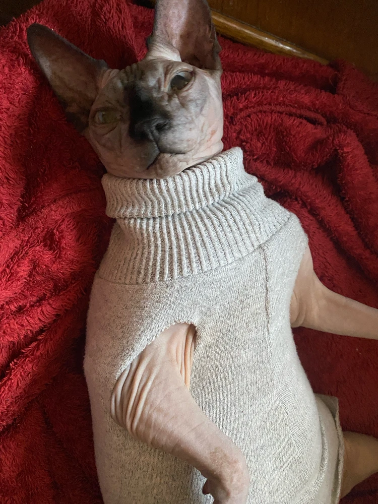 Gambar diunggah dening Марʼяна