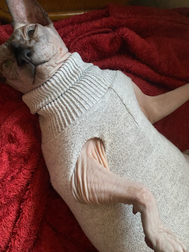 Gambar diunggah dening Марʼяна