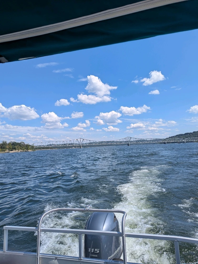 GIF imtella' minn Koi
