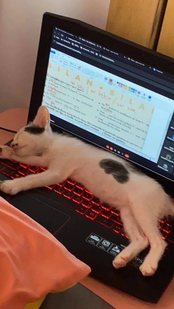 Image uploaded by Jenny