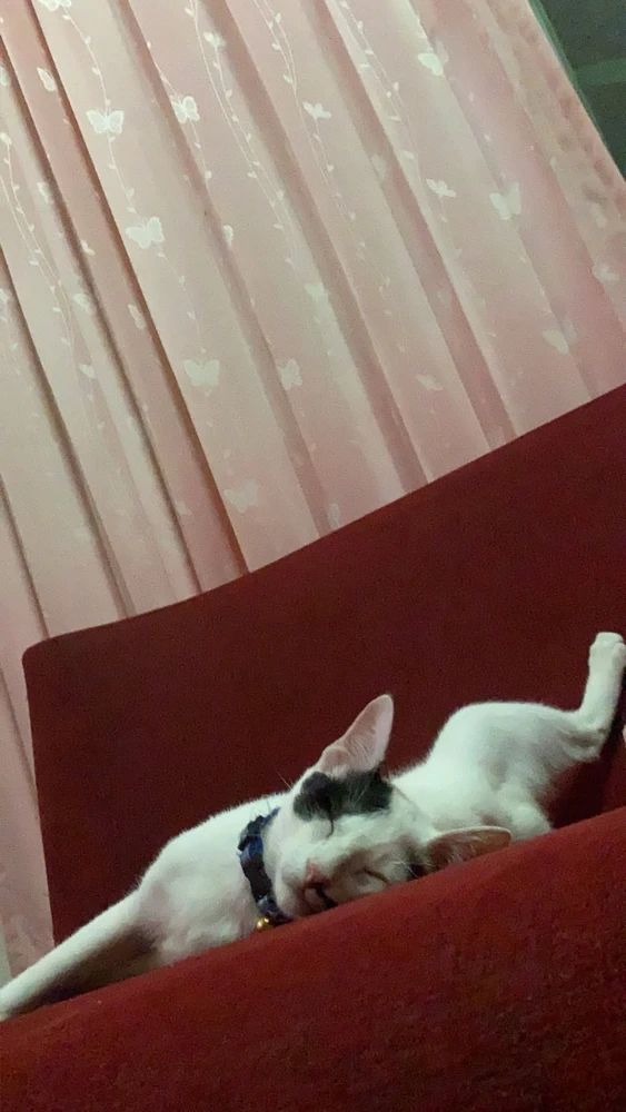 Image uploaded by Jenny