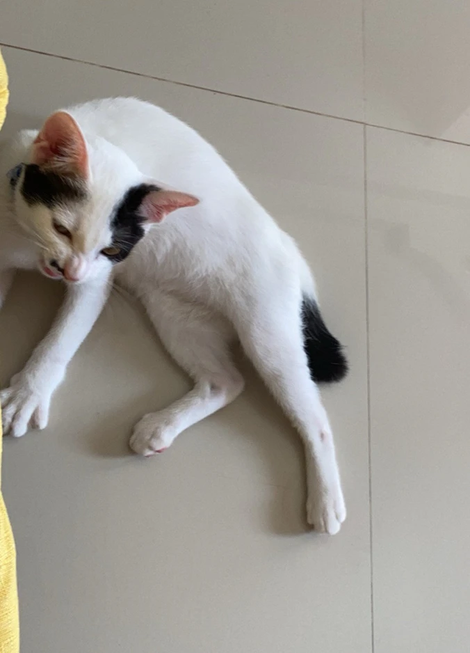 Image uploaded by Jenny