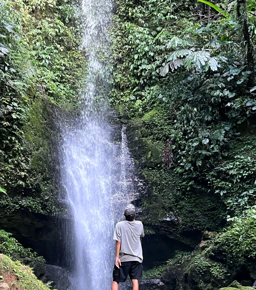 GIF diunggah oleh Very