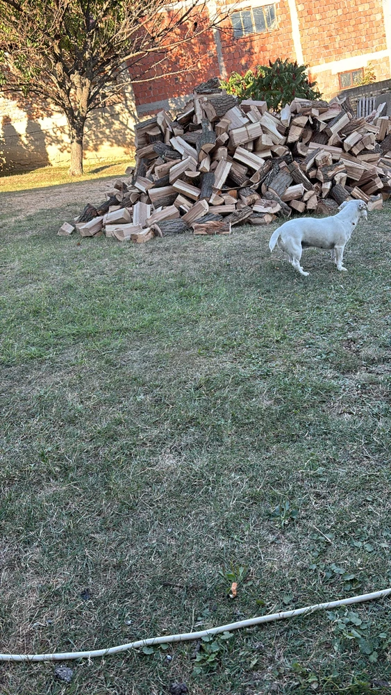 GIF uploaded by Jovan