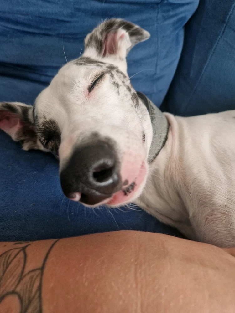 Image uploaded by Lena