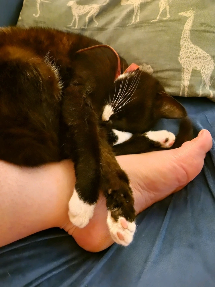 Image uploaded by Lena