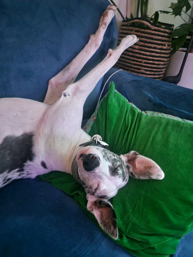 Image uploaded by Lena