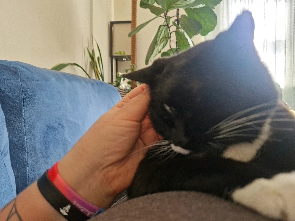 Image uploaded by Lena