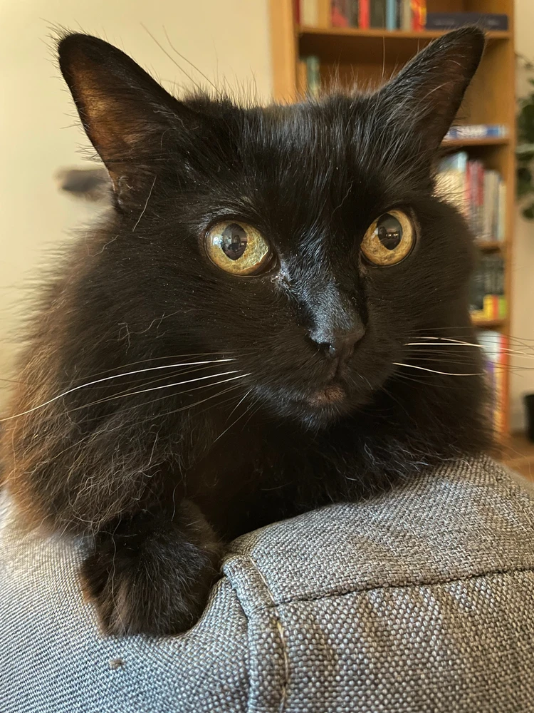 GIF uploaded by Michael