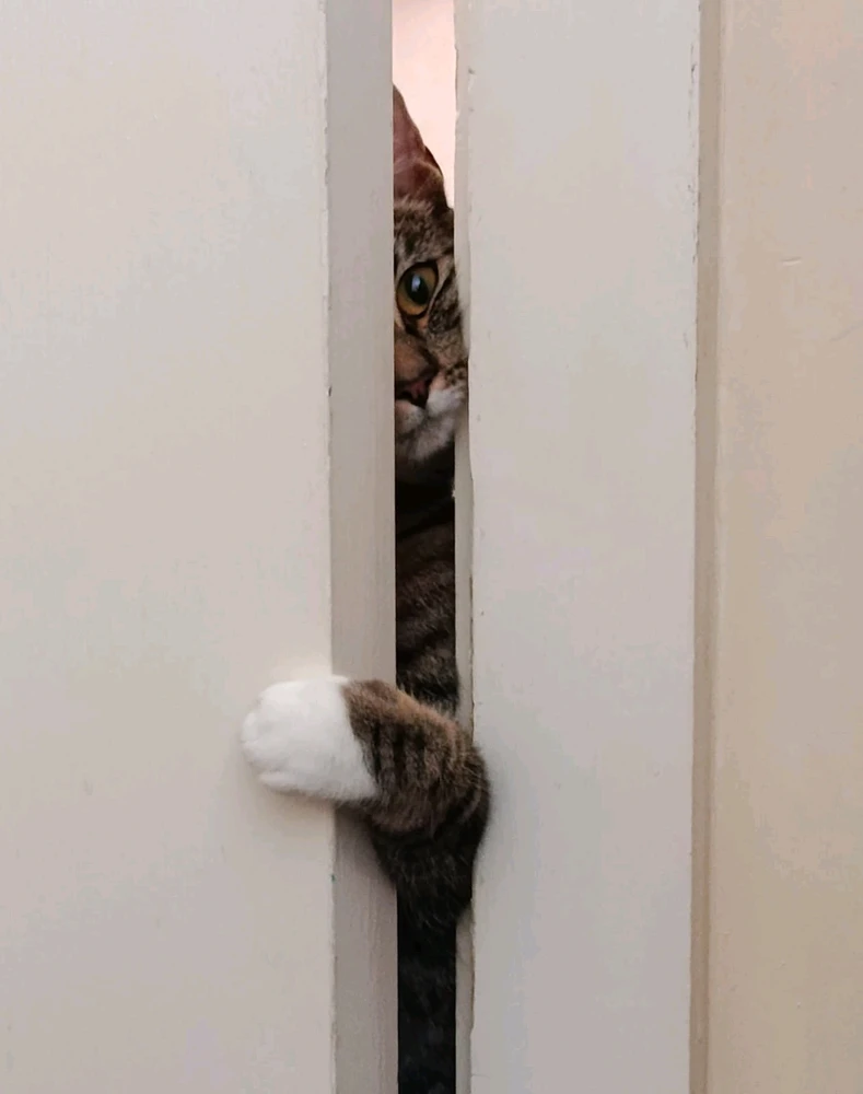 GIF uploaded by Robin